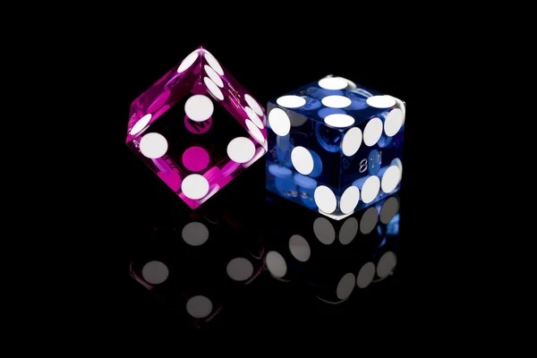 biola account dashboard showing togel number results and payout history